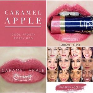 LipSense Makeup - NWT Caramel Apple Lipsense LipSense Makeup - NWT Caramel Apple Lipsense